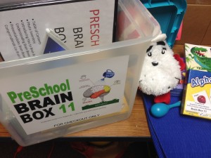 New Directions Brain Box