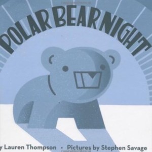 PolarBearNight